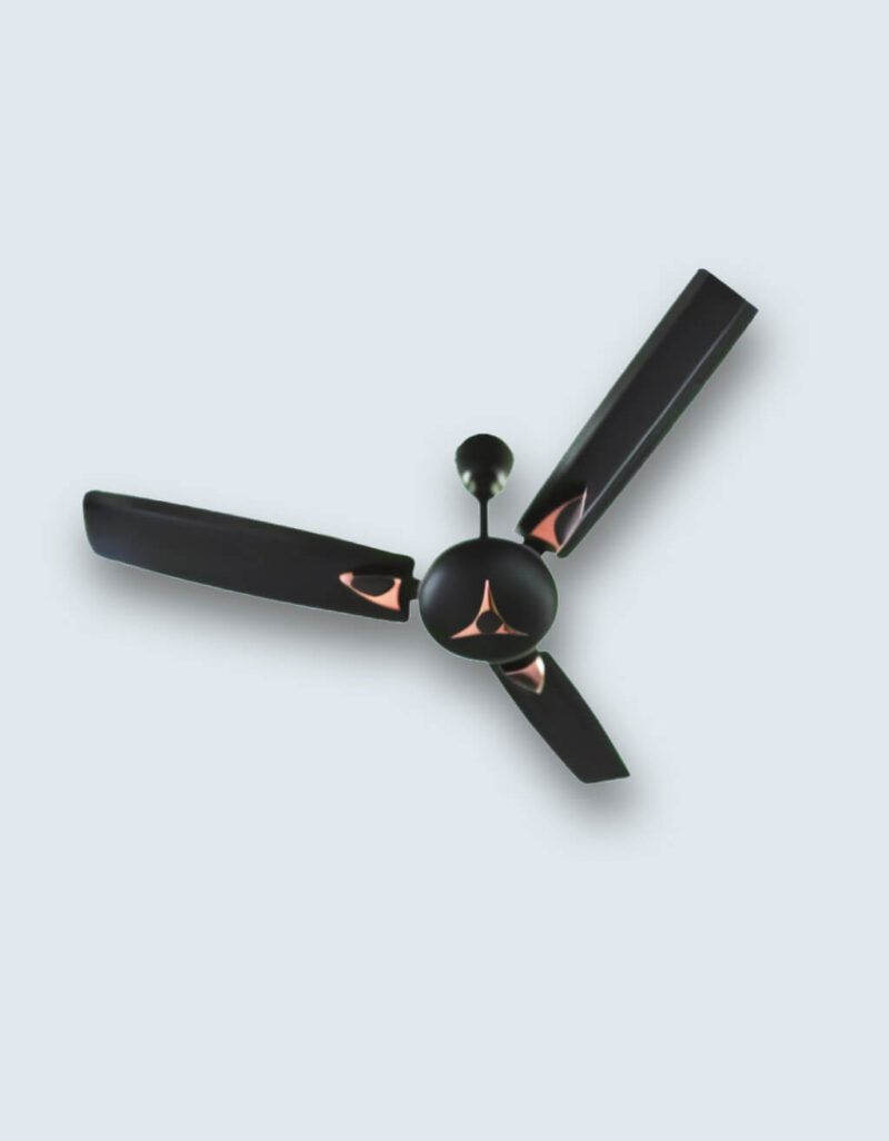STAR FAN